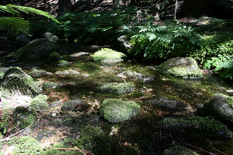 Bulgaria 2008 564
